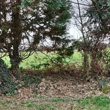 Villa Tai Chi House, T Dempsey's House *