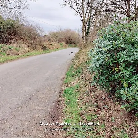 Villa Tai Chi House, T Dempsey's House