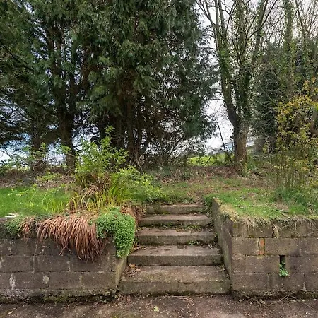 Tai Chi House, T Dempsey's House * Waterford