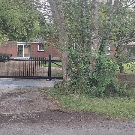 Tai Chi House, T Dempsey's House * Waterford