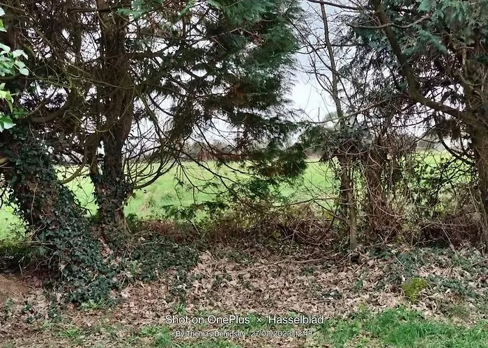 Вилла Tai Chi House, T Dempsey's House *