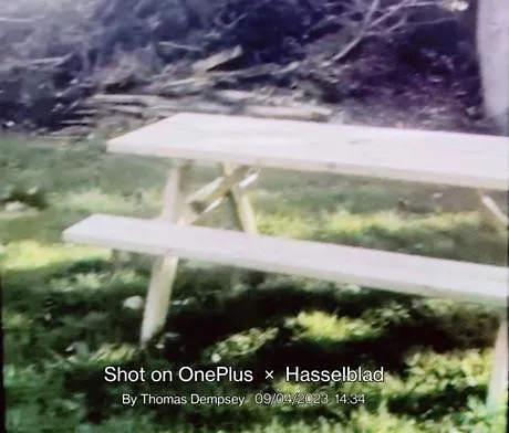 Вилла Tai Chi House, T Dempsey's House *